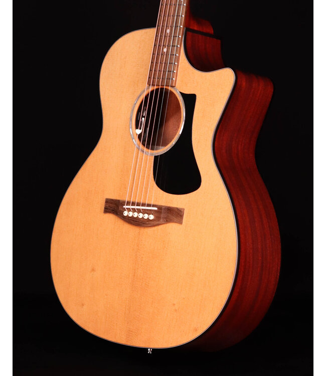 Eastman PCH1-GACE-CLA, Classic with Bag