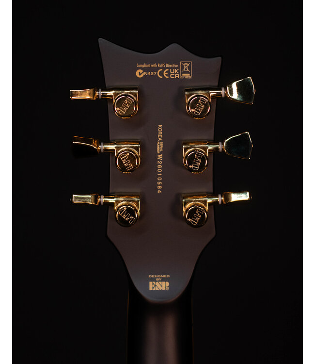 ESP LTD EC-1000, Vintage Black
