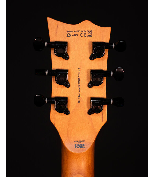 ESP LTD EC-200DX, Charcoal Burst