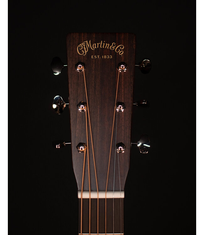 Martin D-18 Standard Acoustic Guitar with Fishman Matrix Infinity Pickup