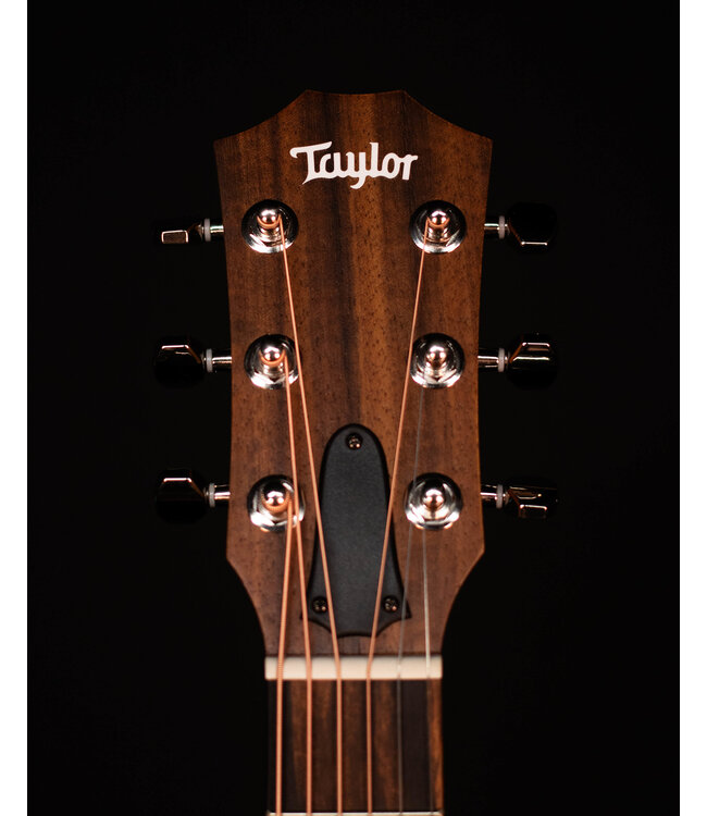 Taylor GS Mini-e Rosewood Plus