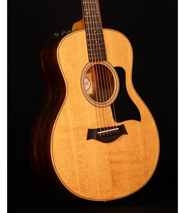 Taylor GS Mini-e Rosewood Plus