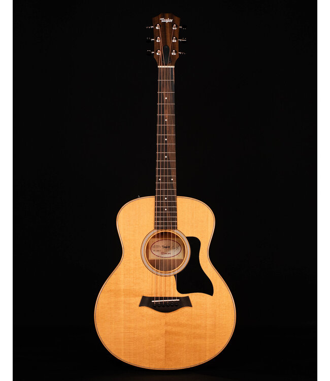 Taylor GS Mini-e Rosewood Plus