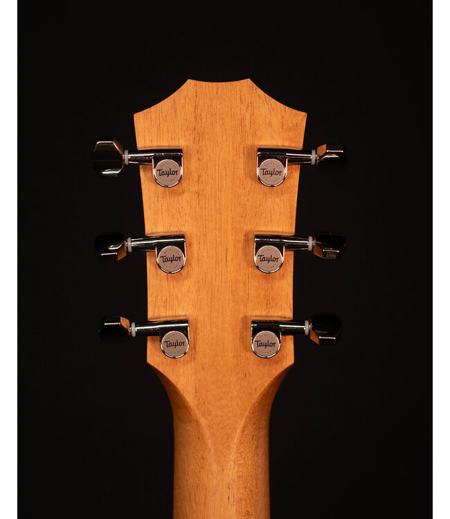 Taylor GS Mini-e Rosewood Plus