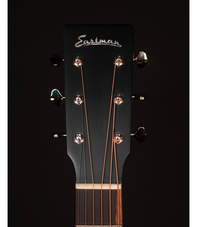 Eastman E1DL Left Handed Dreadnought, Sitka Spruce/Sapele with Bag
