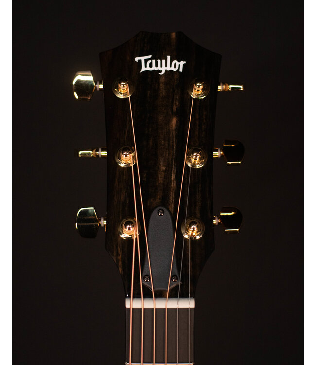 Taylor 217e Plus Acoustic Electric Guitar, Honey Sunburst Collection