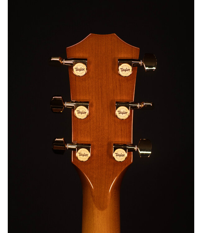Taylor 217e Plus Acoustic Electric Guitar, Honey Sunburst Collection
