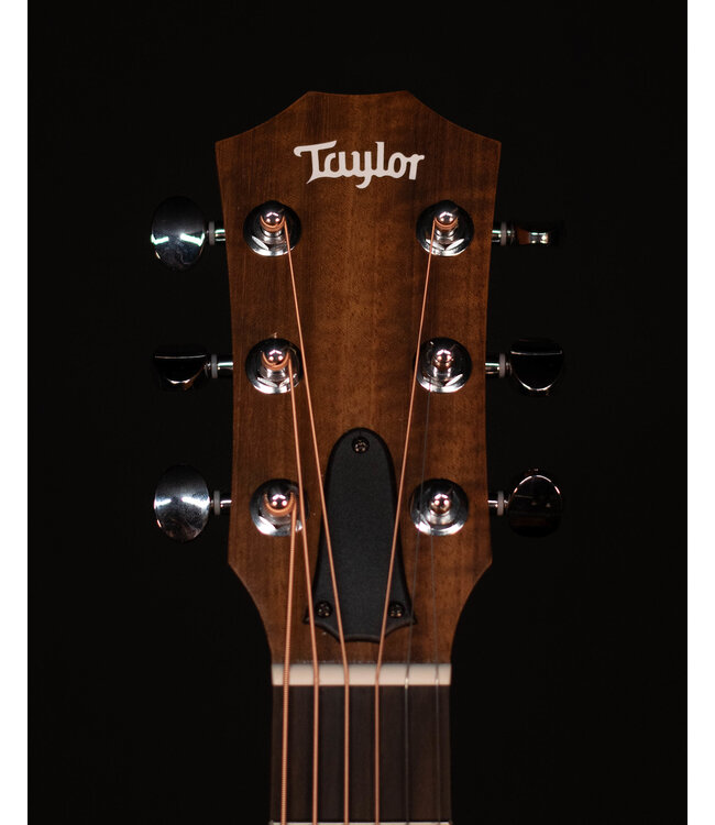Taylor GS Mini-e, Koa