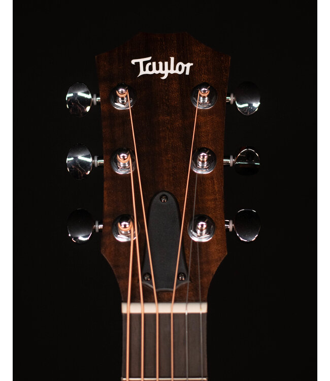 Taylor GS Mini with Mahogany Top