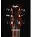 Taylor GS Mini with Mahogany Top