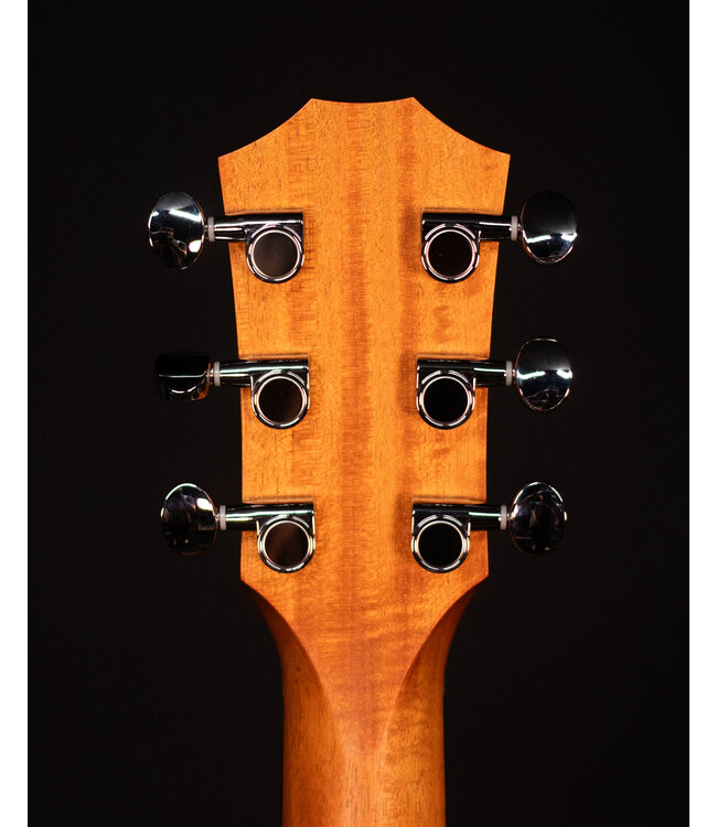 Taylor GS Mini with Mahogany Top