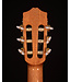 Cordoba Requinto 580 1/2 Size Classical Guitar