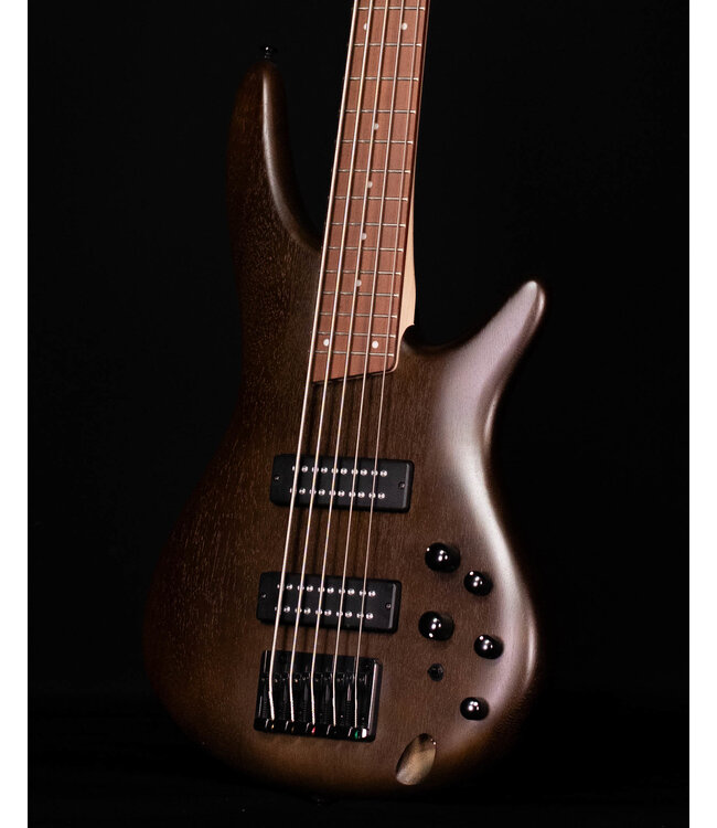 Ibanez SR305EB 5-String Electric Bass, Walnut Flat