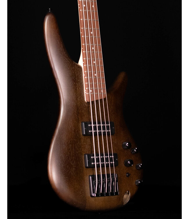 Ibanez SR305EB 5-String Electric Bass, Walnut Flat