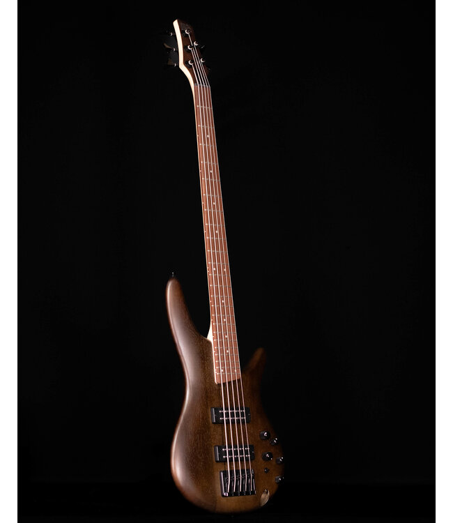 Ibanez SR305EB 5-String Electric Bass, Walnut Flat