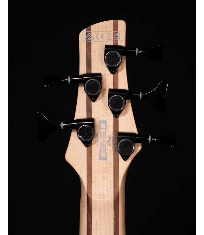 Ibanez SR305EB 5-String Electric Bass, Walnut Flat