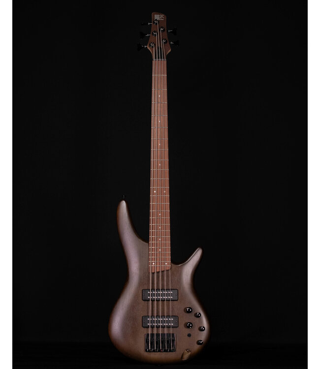 Ibanez SR305EB 5-String Electric Bass, Walnut Flat