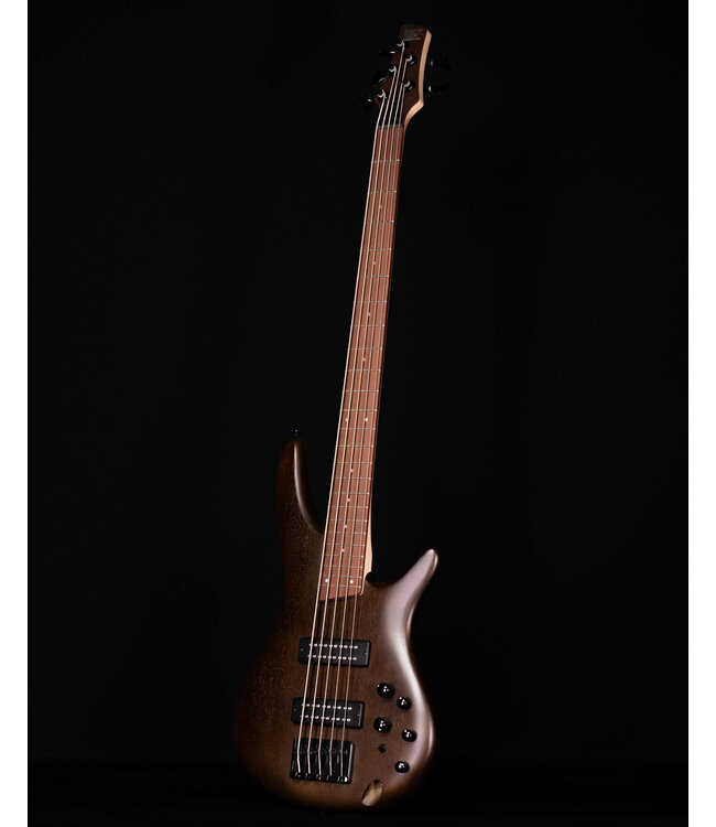 Ibanez SR305EB 5-String Electric Bass, Walnut Flat