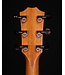 Taylor 214ce Deluxe Acoustic Guitar with Hard Shell Case, 2021 - USED
