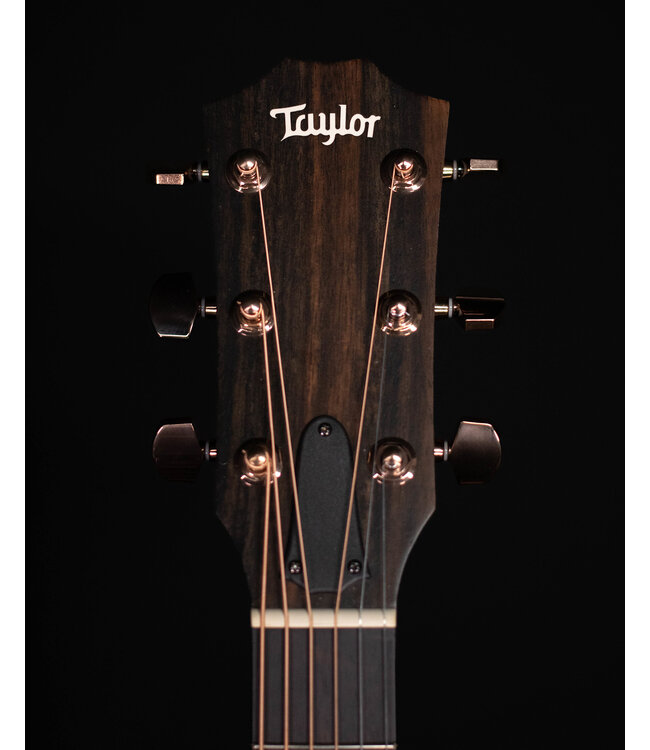 Taylor 214ce Deluxe Acoustic Guitar with Hard Shell Case, 2021 - USED