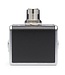 Fishman AFX Broken Record Mini Looper/Sampler Pedal