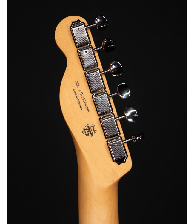 Fender Player II Telecaster, Rosewood FB, Birch Green