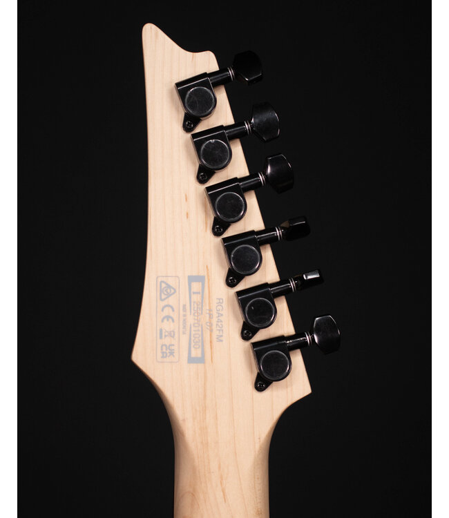 Ibanez RGA42 Flame Maple Top, Mahogany Electric Guitar, Blue Lagoon Burst Flat