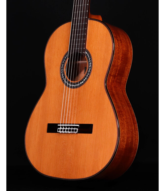 Cordoba C9 CD Parlor Classical Guitar with Case