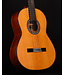 Cordoba C9 CD Parlor Classical Guitar with Case