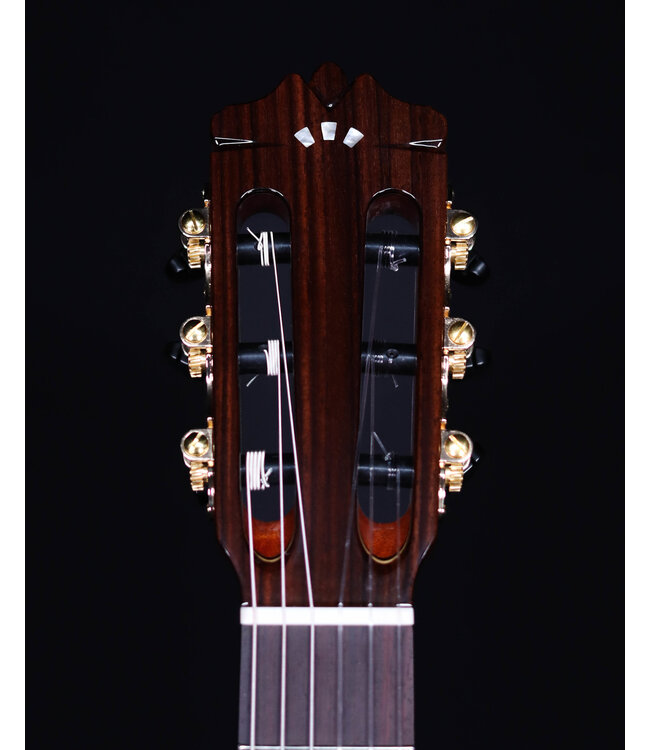 Cordoba C9 CD Parlor Classical Guitar with Case