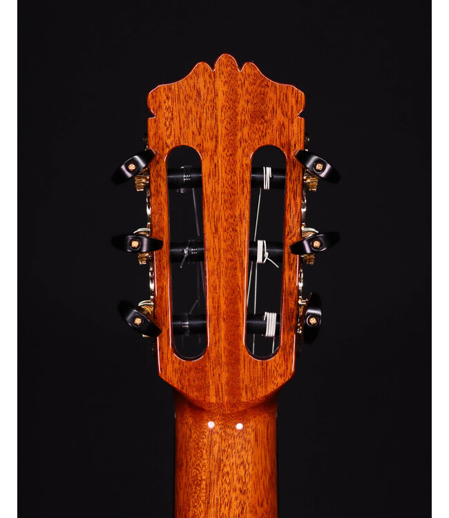 Cordoba C9 CD Parlor Classical Guitar with Case