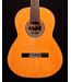 Cordoba C9 CD Parlor Classical Guitar with Case