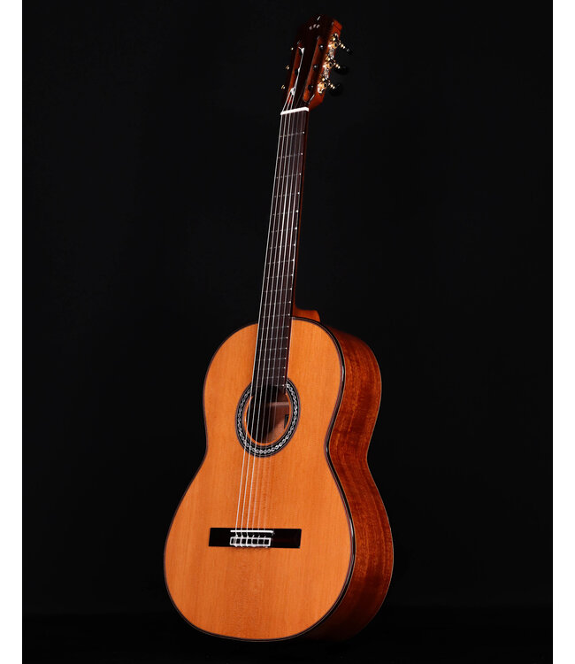 Cordoba C9 CD Parlor Classical Guitar with Case