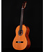Cordoba C9 CD Parlor Classical Guitar with Case