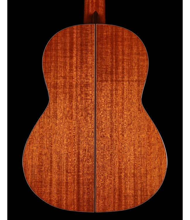 Cordoba C9 CD Parlor Classical Guitar with Case