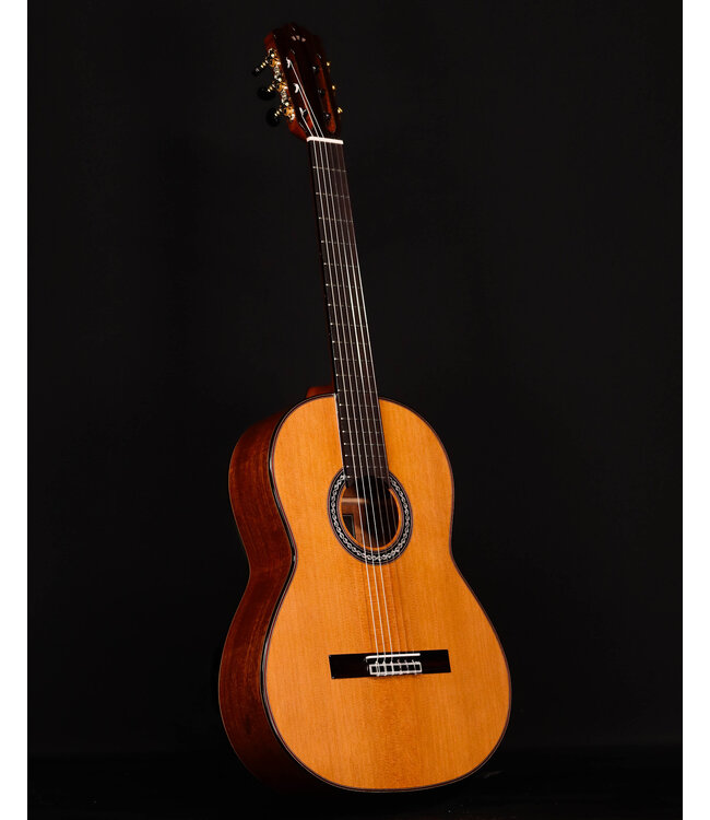 Cordoba C9 CD Parlor Classical Guitar with Case
