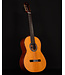 Cordoba C9 CD Parlor Classical Guitar with Case