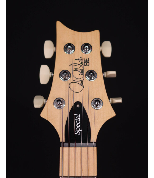PRS SE Swamp Ash Special, Iri Blue
