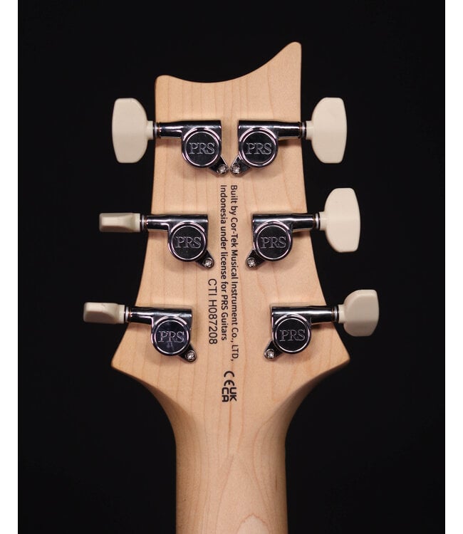 PRS SE Swamp Ash Special, Iri Blue