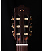 Cordoba C5-CE Spruce Top