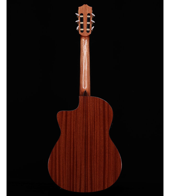 Cordoba C5-CE Spruce Top