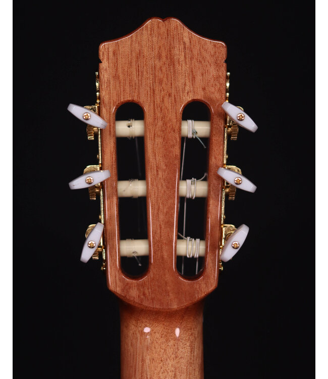 Cordoba C5-CE Spruce Top