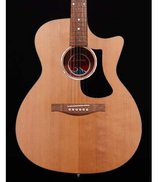 Eastman Eastman PCH1-GACE Acoustic/Electric, Satin Natural with Bag