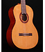 Cordoba C5 Cedar Top Classical Guitar