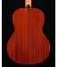 Cordoba C5 Cedar Top Classical Guitar