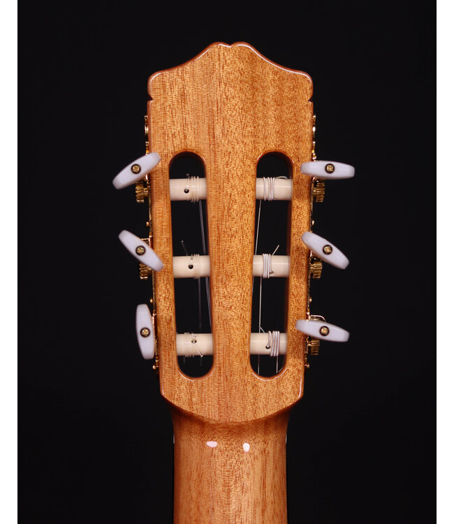 Cordoba C5 Cedar Top Classical Guitar