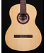 Cordoba C5 with Spruce Top