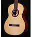 Cordoba C5 with Spruce Top