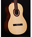 Cordoba C5 with Spruce Top