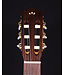 Cordoba C5 with Spruce Top
